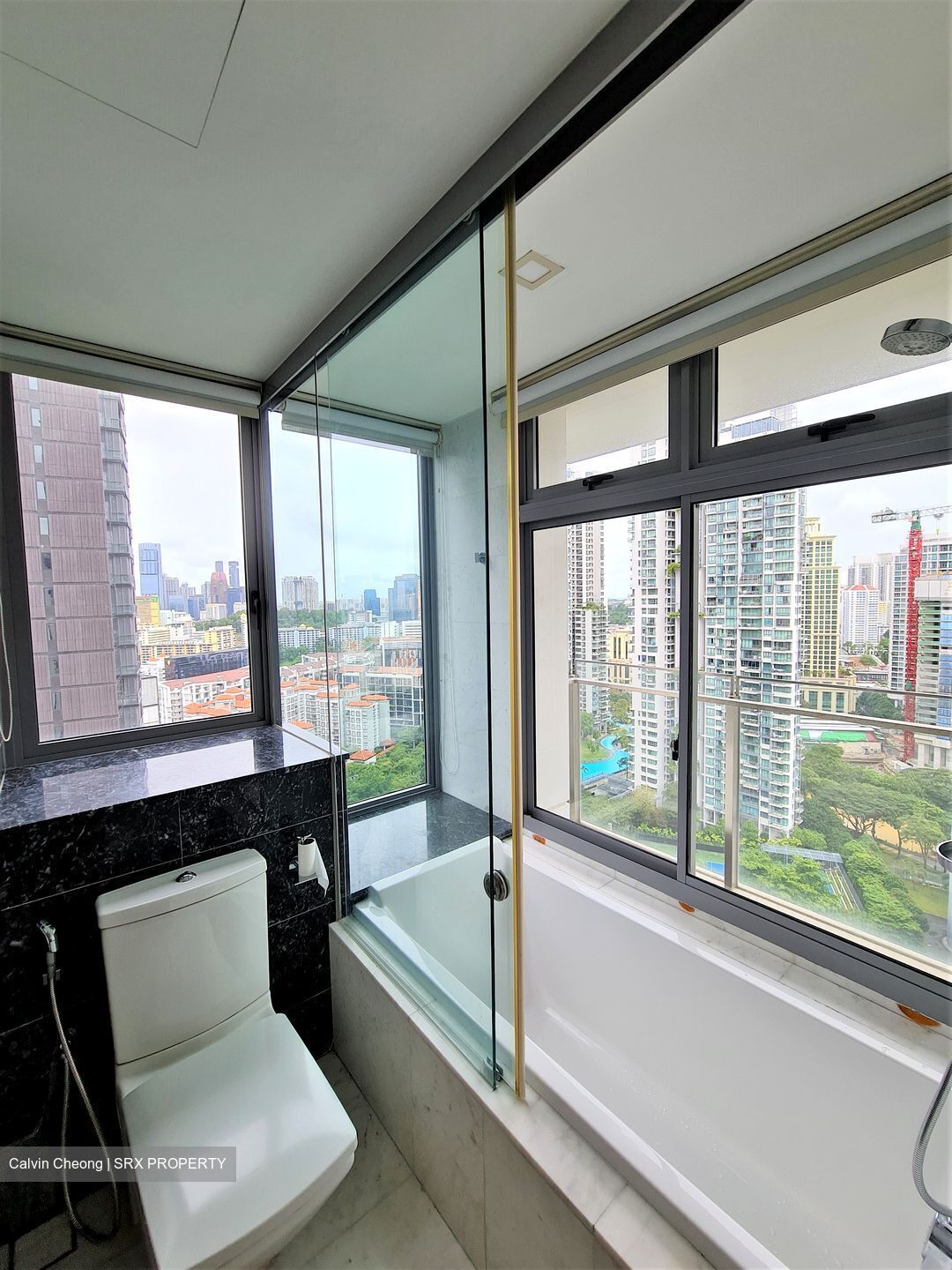 Starlight Suites (D9), Apartment #315699751